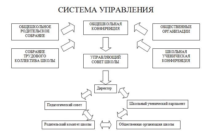 Структура управления организацией.